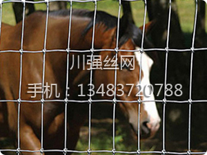 養(yǎng)殖護(hù)欄網(wǎng)